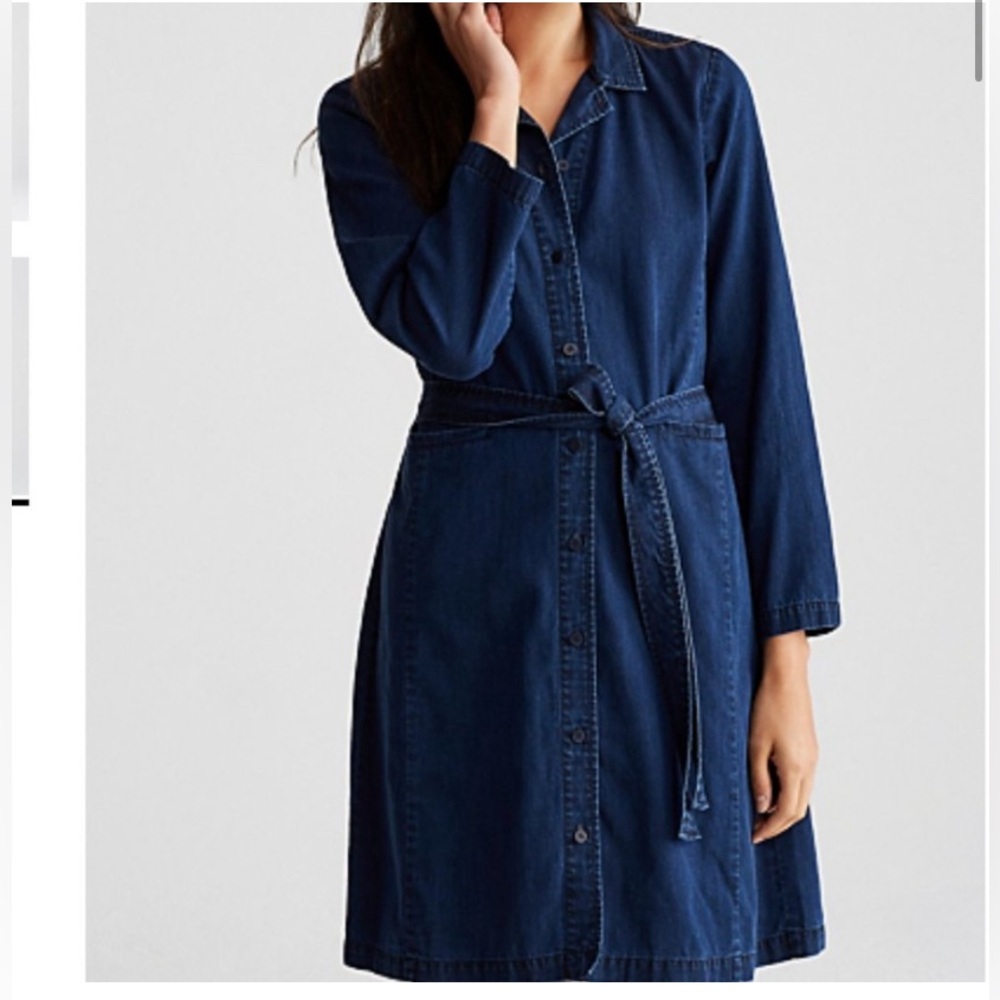 Eileen Fisher Tencel Denim Shirt Dress with Belt